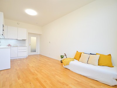 Pronájem bytu 1+kk 28 m²