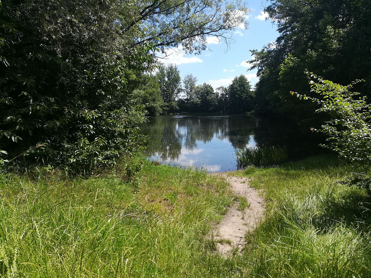 Prodej rybníku (vodní plochy) 13336 m²