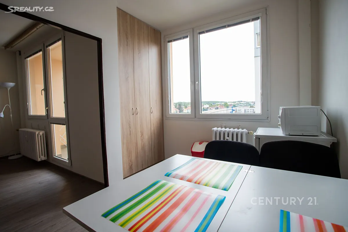 Pronájem bytu 1+1 43 m² - Widok 6