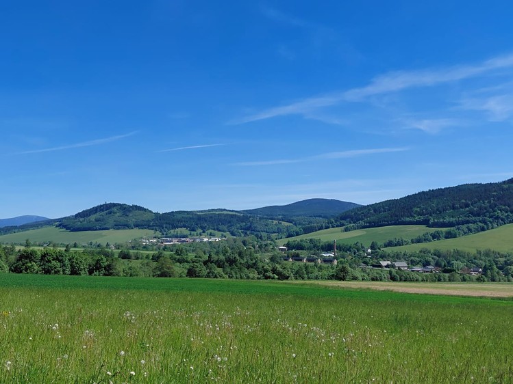 Grundstück zum Kauf, 1.251 m² (6 von 7)