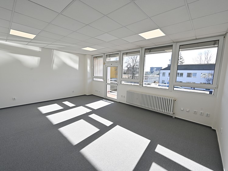 Pronájem komerčního prostoru, 282 m² (3 z 8)