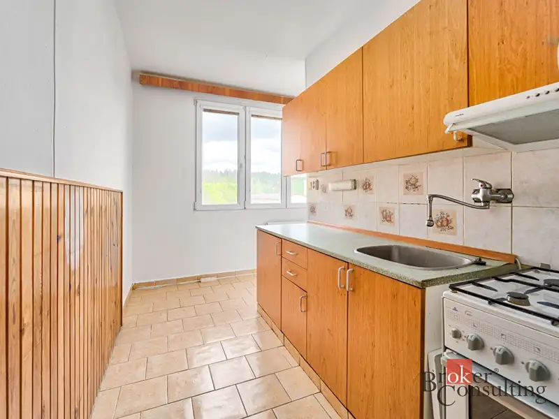 Prodej bytu 2+1 58 m², Planá – náhled fotky 1