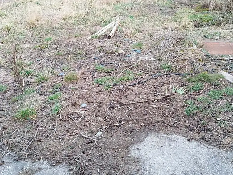Pronájem pozemku 400 m², Určice – náhled fotky 3