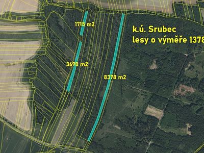 Prodej lesa 13783 m²