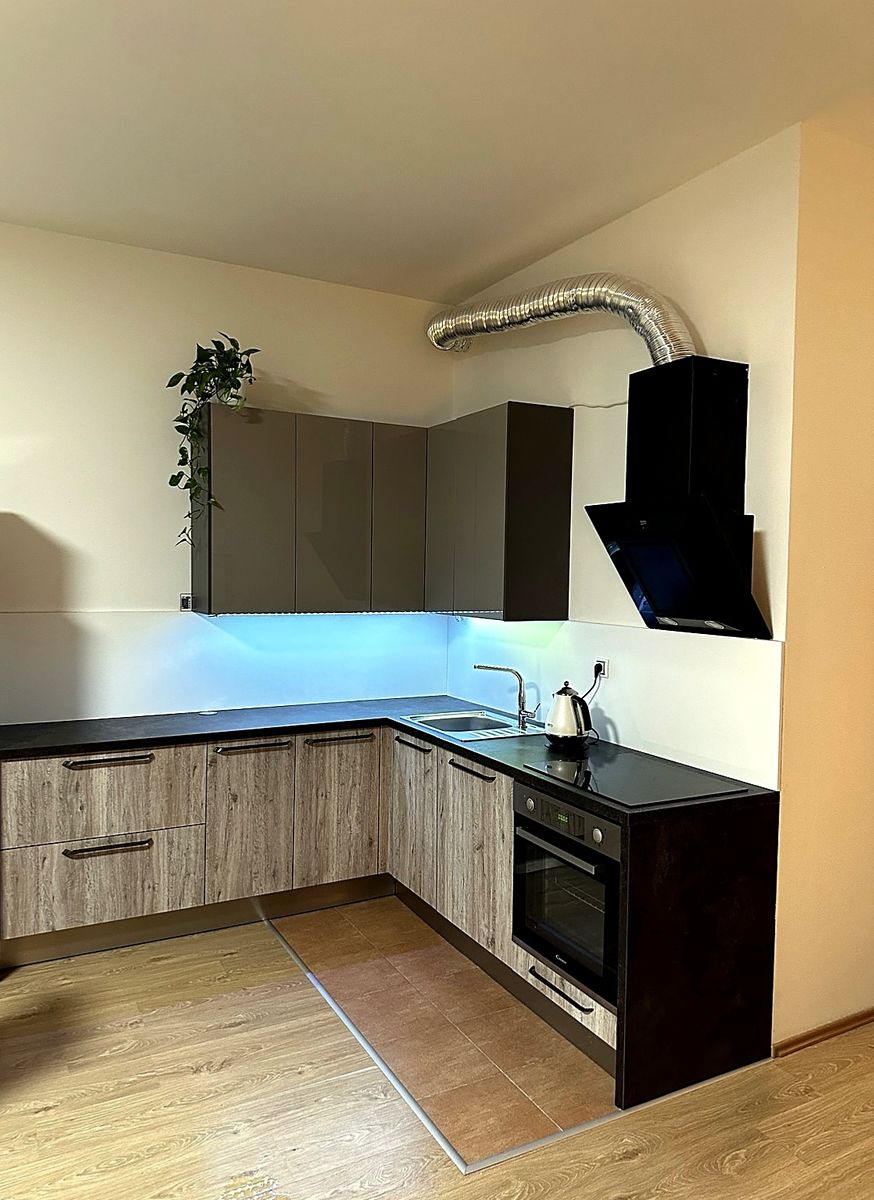 Pronájem bytu 1+kk 66 m²