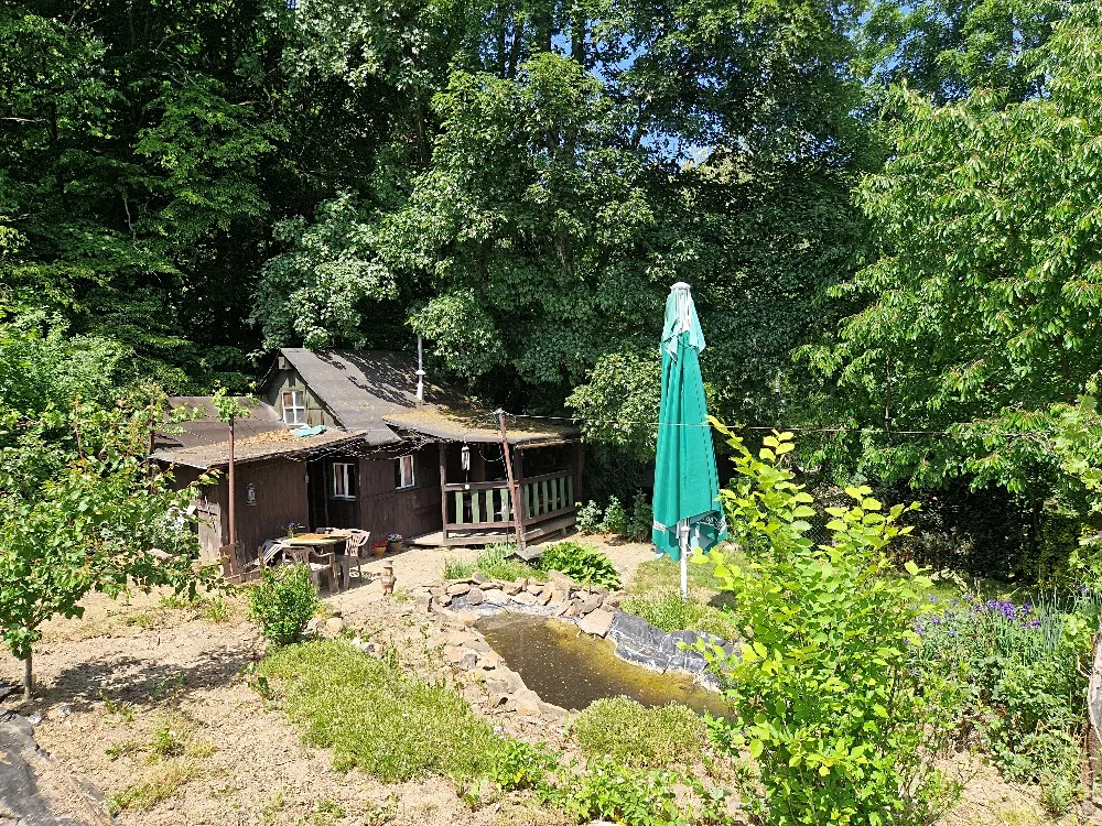 Fotka 15 z 19