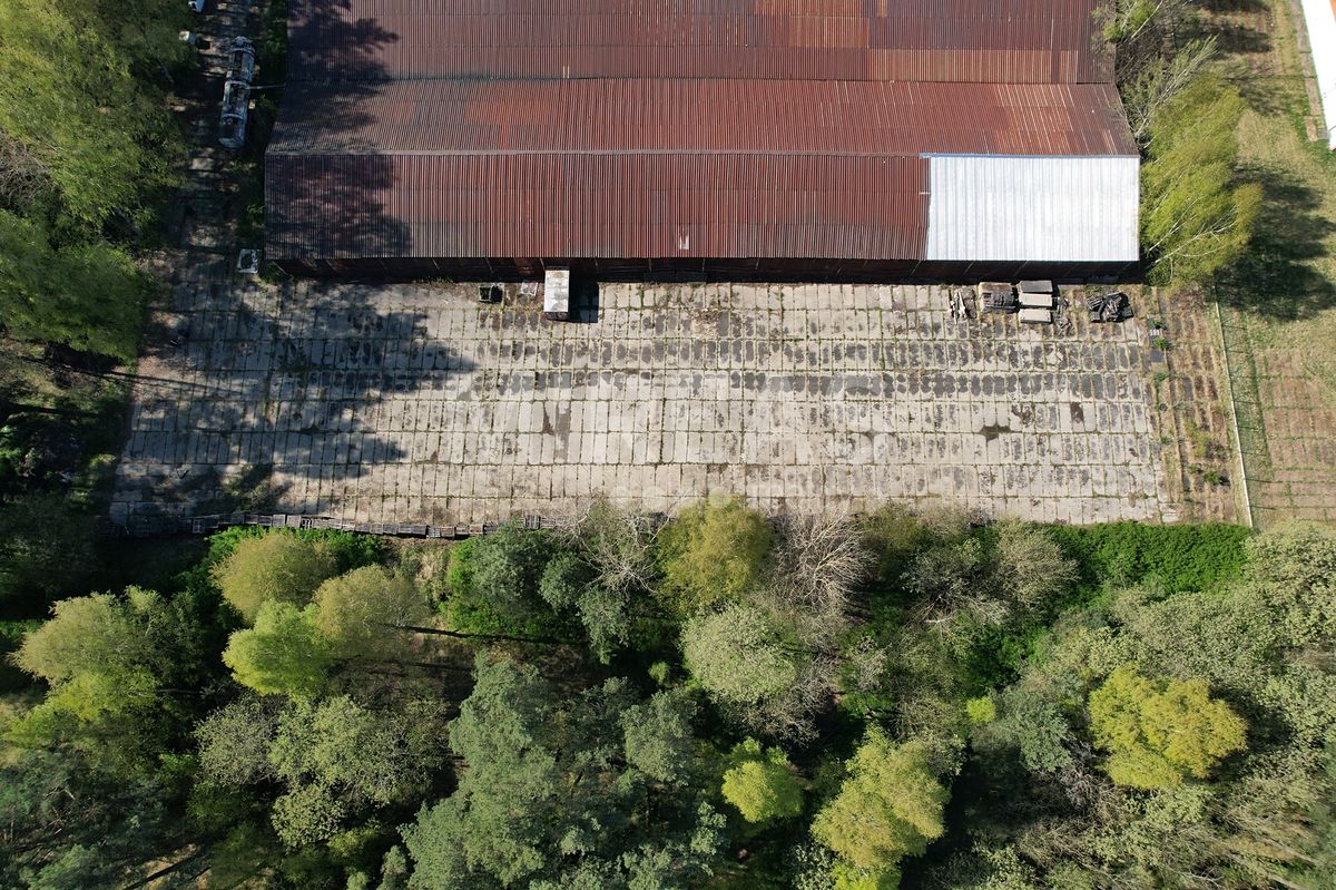 Pronájem komerčního pozemku 1800 m² – fotografie 4