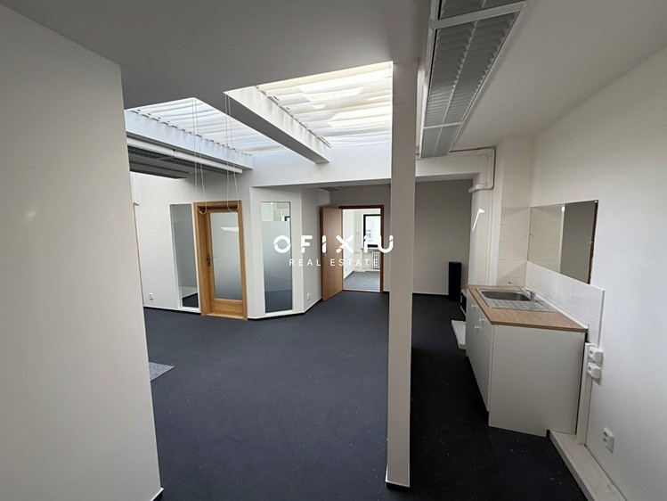Pronájem komerčního prostoru, 196 m² (7 z 9)
