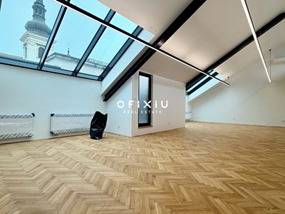 Pronájem komerčního prostoru, 196 m² (3 z 9)