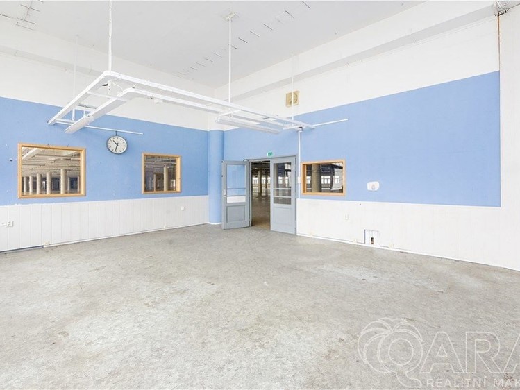 Pronájem komerčního prostoru, 4 000 m² (6 z 18)