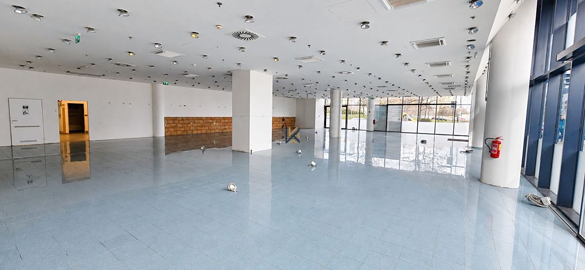 Pronájem obchodního prostoru 206 m² – fotografie 2