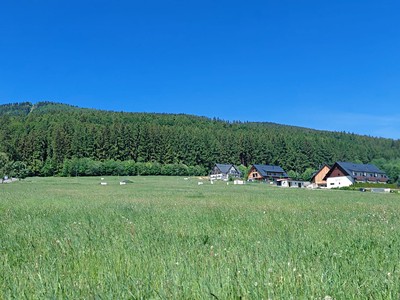 Grundstück zum Kauf, 1.251 m² (2 von 7)