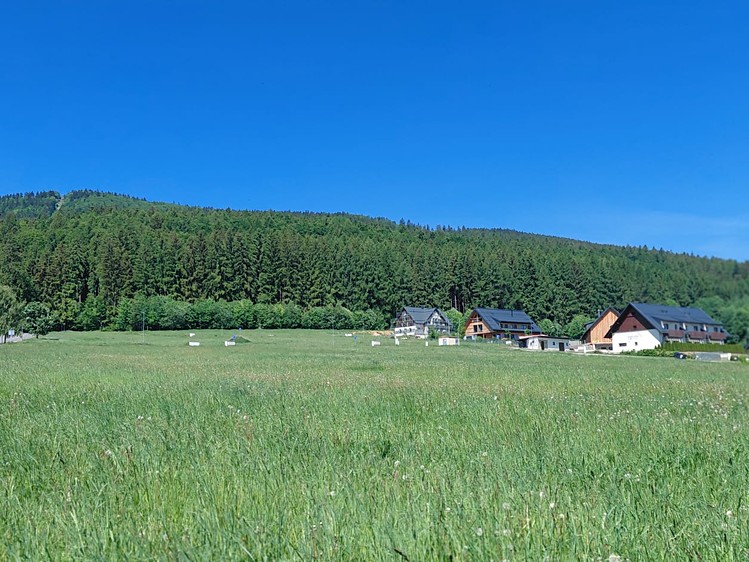 Grundstück zum Kauf, 1.251 m² (2 von 7)