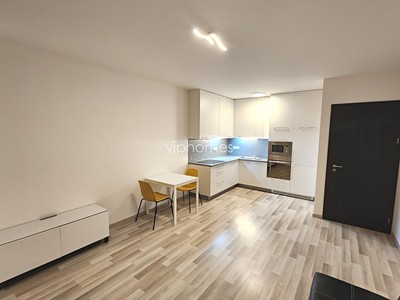 Pronájem bytu 1+kk 36 m²