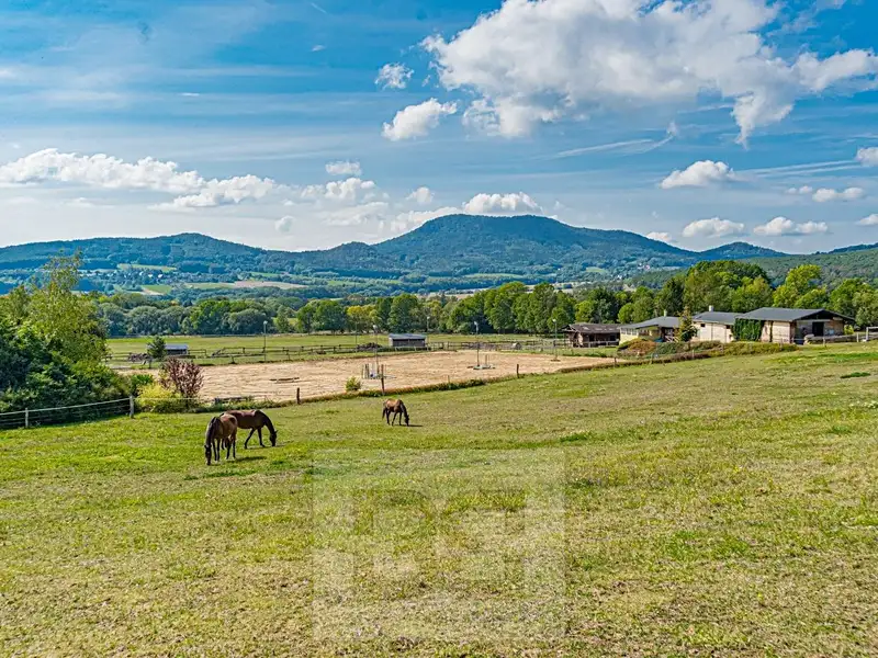 Prodej rodinného domu 400 m², pozemek 242000 m², Malečov – náhled fotky 3