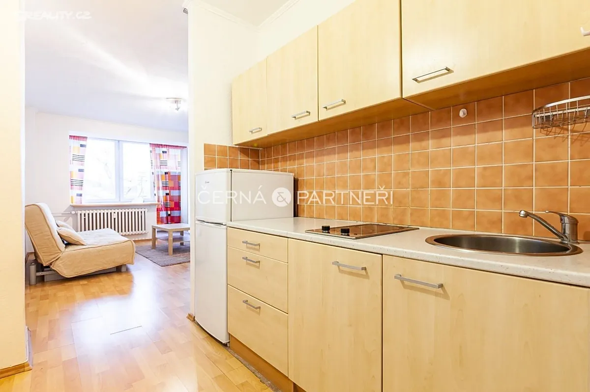 Pronájem bytu 1+kk 36 m², Teplice