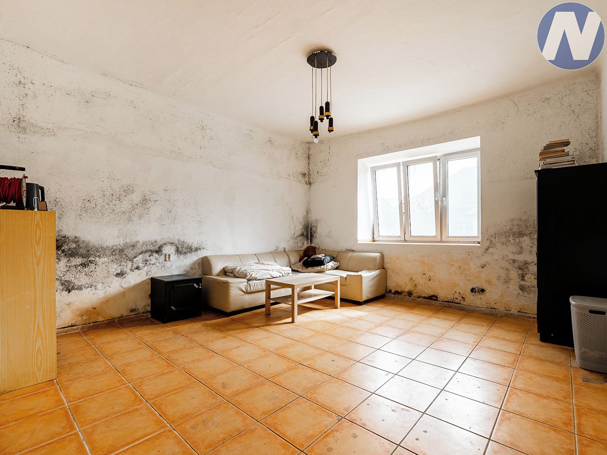 Prodej rodinného domu 322 m², pozemek 384 m² – fotografie 3