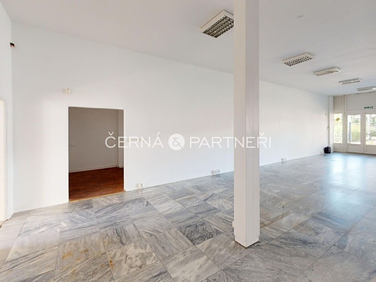 Pronájem komerčního prostoru, 319 m² (3 z 14)