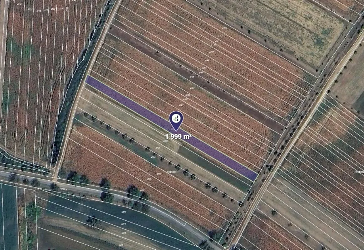 Prodej podílu 1/2 pole 1000 m²