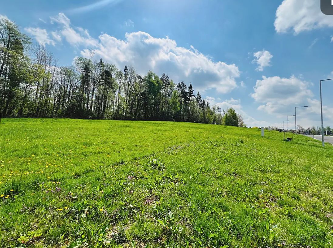 Prodej rodinného domu 150 m², pozemek 990 m² – fotografie 4