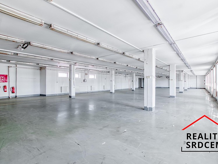 Pronájem komerčního prostoru, 613 m² (5 z 18)