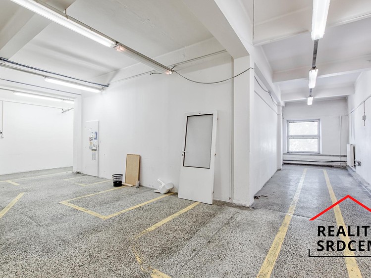 Gewerbefläche zur Miete, 132 m² (4 von 9)