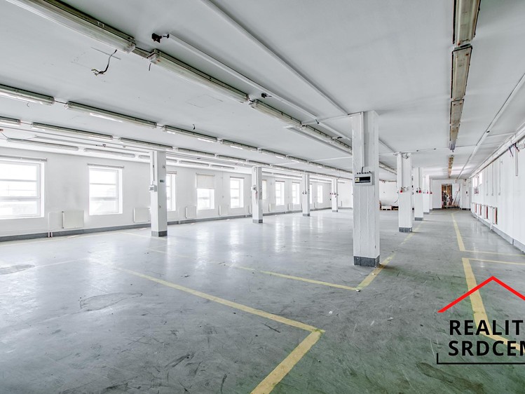 Pronájem komerčního prostoru, 613 m² (9 z 18)