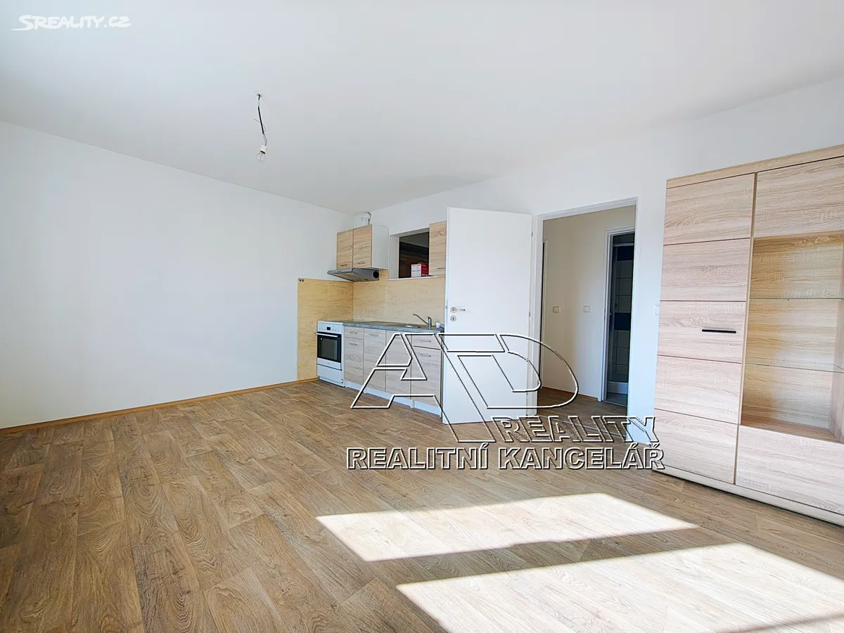 Pronájem bytu 1+1 44 m², České Budějovice