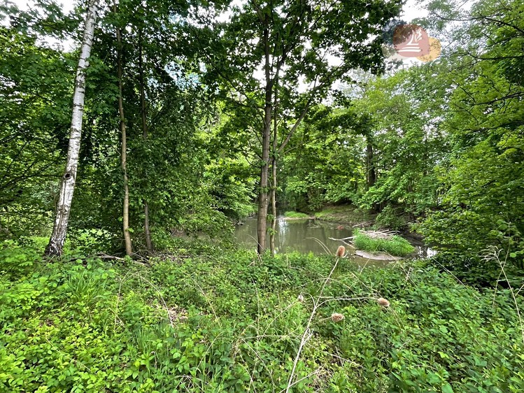 Gewerbefläche zum Kauf, 993 m² (5 von 27)