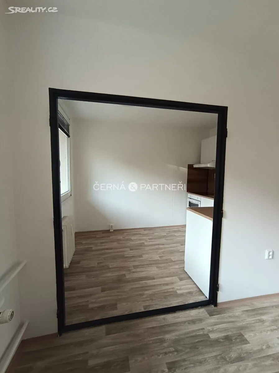 Pronájem bytu 3+1 53 m² – pohled 3