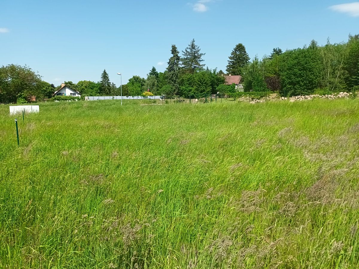 Prodej stavebního pozemku 801 m² – fotografie 4