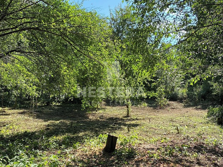 Grundstück zum Kauf, 5.321 m² (5 von 23)