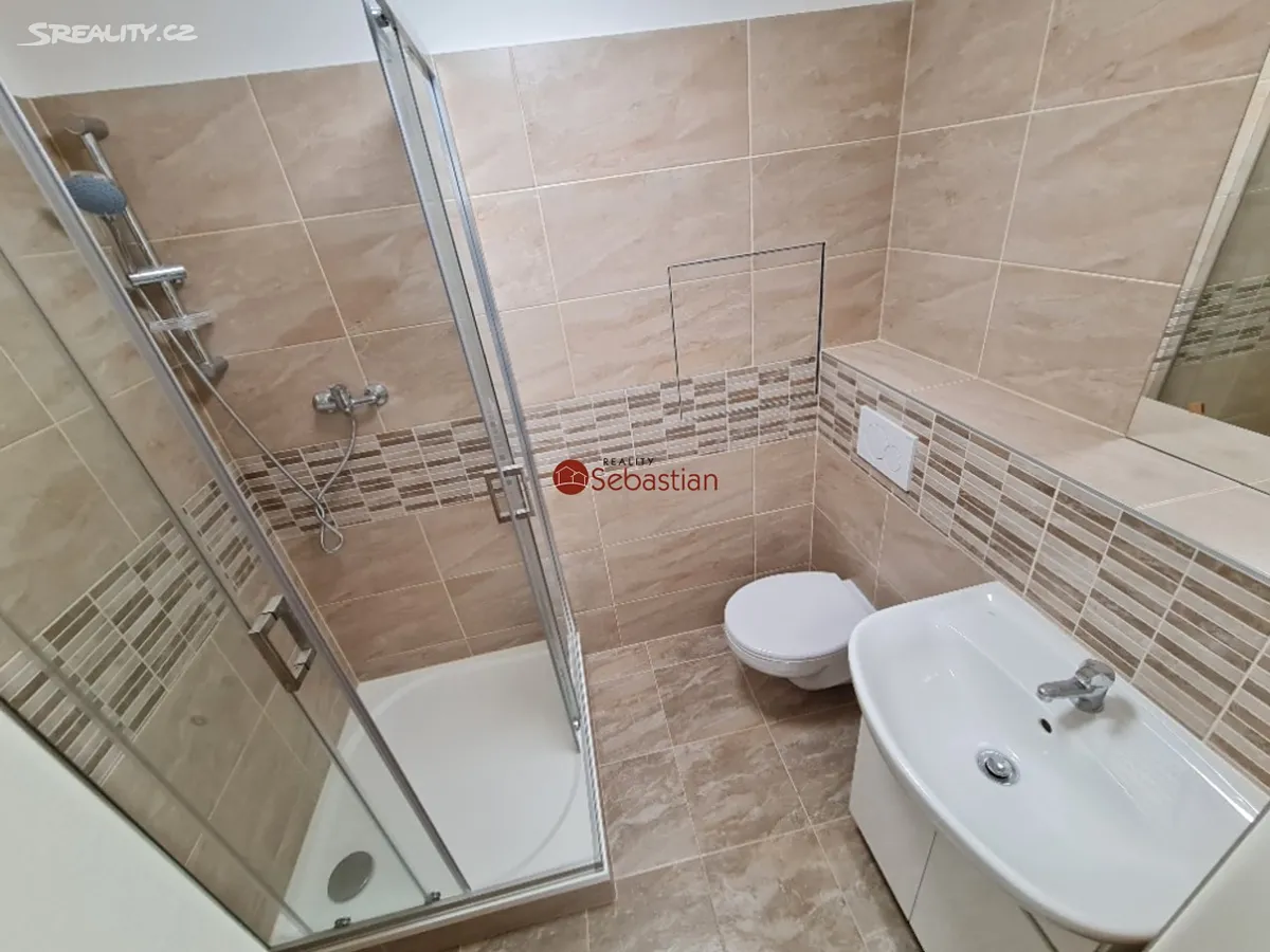 Pronájem bytu 2+1 48 m² – pohled 6