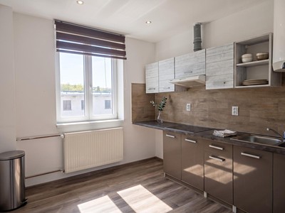 Pronájem bytu 1+1 48 m²
