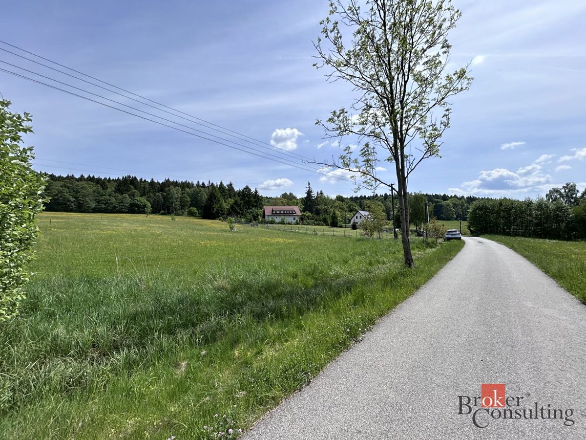 Prodej louky 8717 m² – fotografie 3