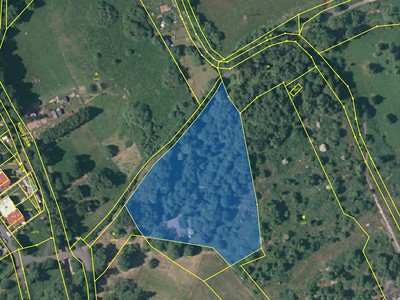 Ділянка на продаж, 10 233 м² (3 з 3)