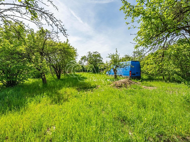 Grundstück zum Kauf, 2.578 m² (13 von 19)
