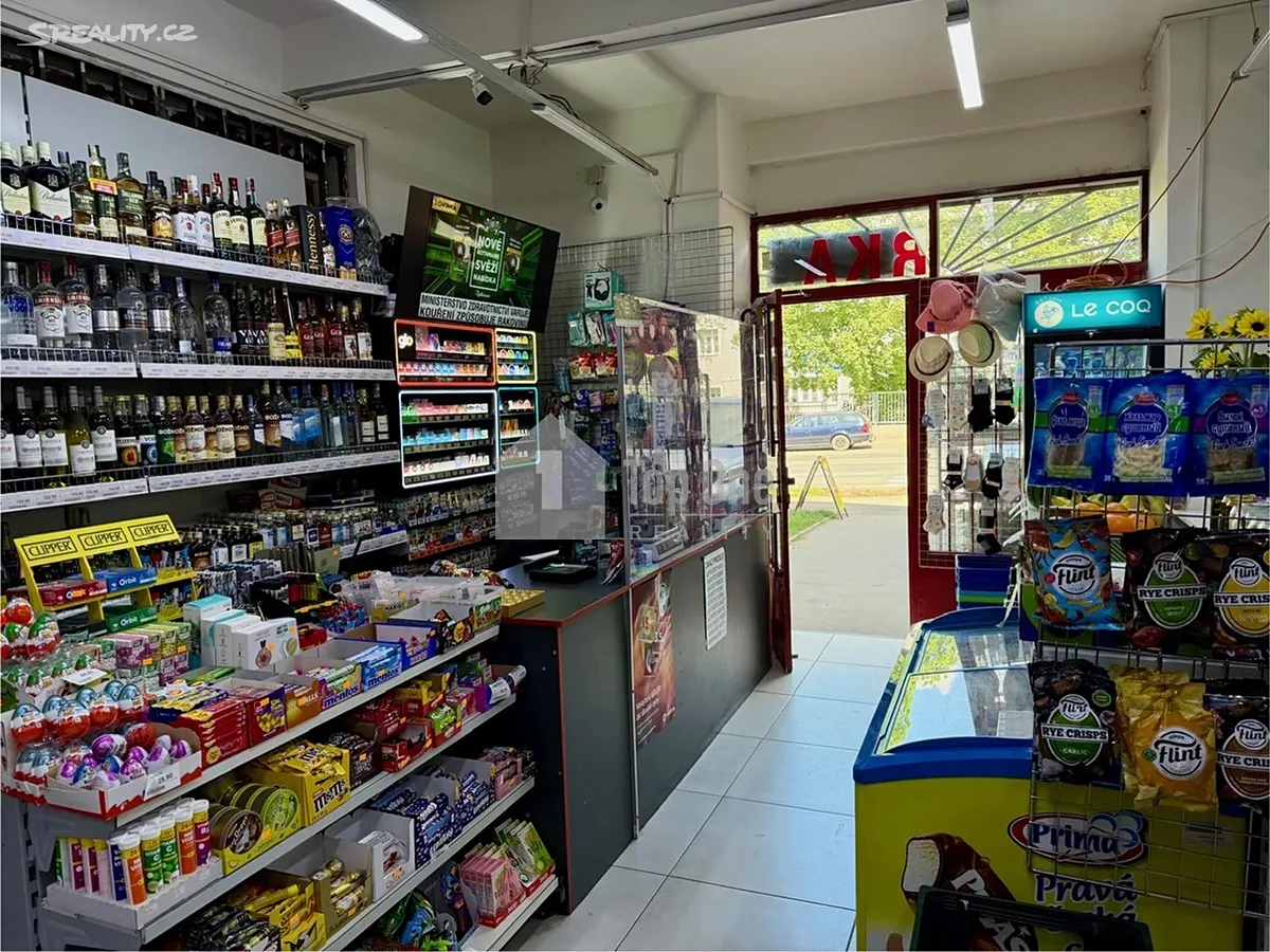 Prodej obchodního prostoru 137 m² – pohled 5