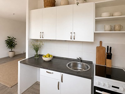 Pronájem bytu 1+1 31 m²