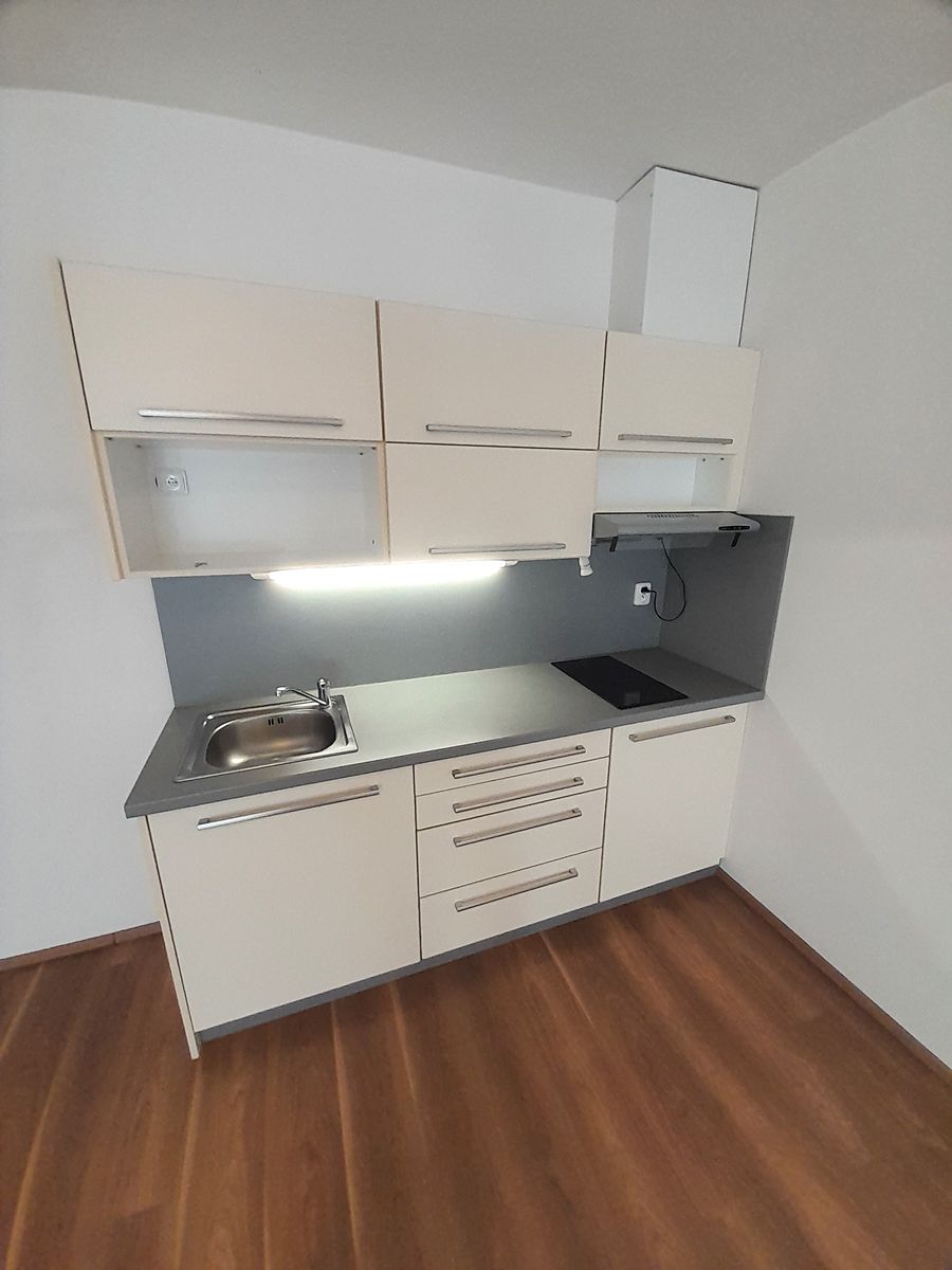 Pronájem bytu 1+kk 40 m² – fotografie 5