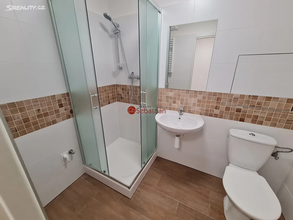 Pronájem bytu 1+1 36 m² – pohled 2