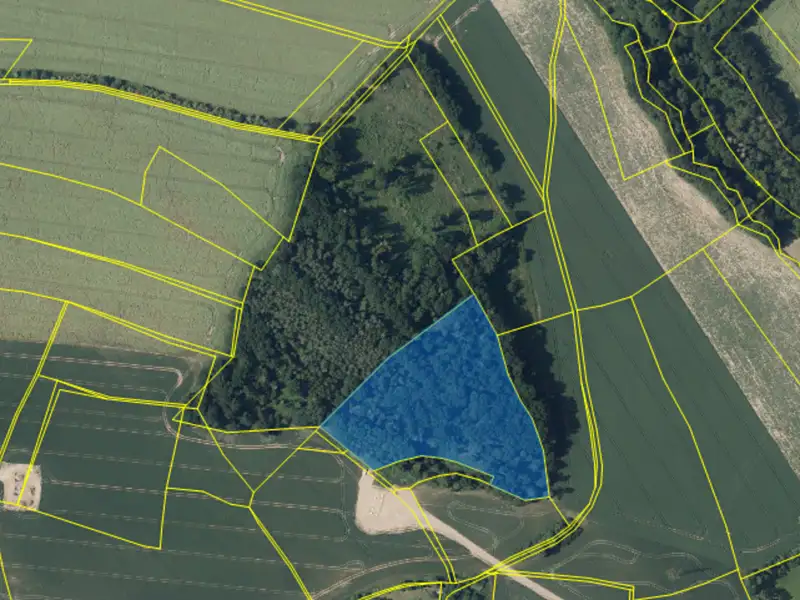 Prodej lesa 16733 m², Pyšely – náhled fotky 2