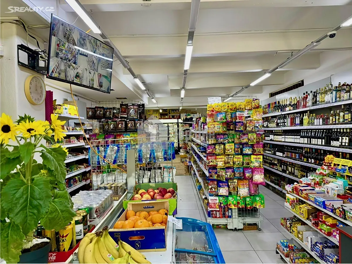 Prodej obchodního prostoru 137 m² – pohled 2