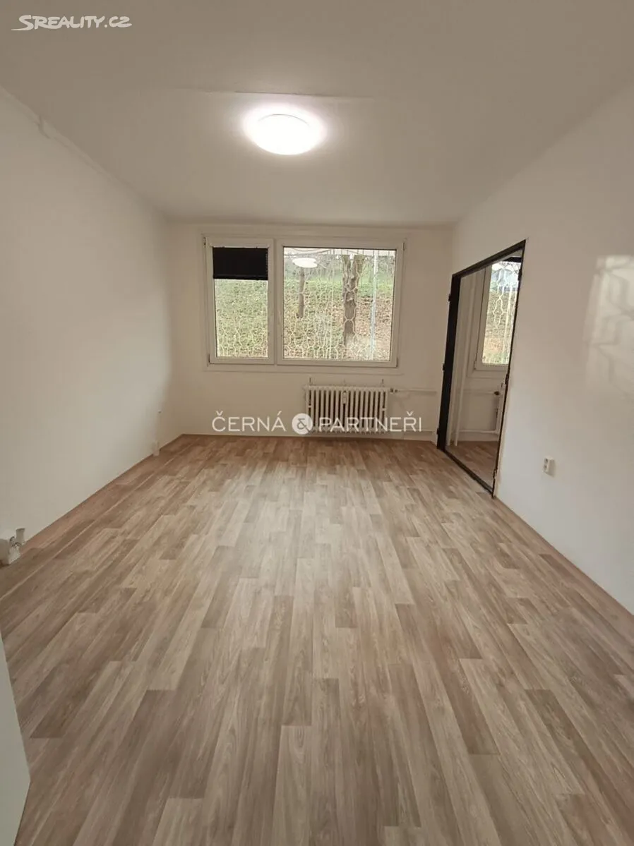 Pronájem bytu 3+1 53 m² – pohled 2