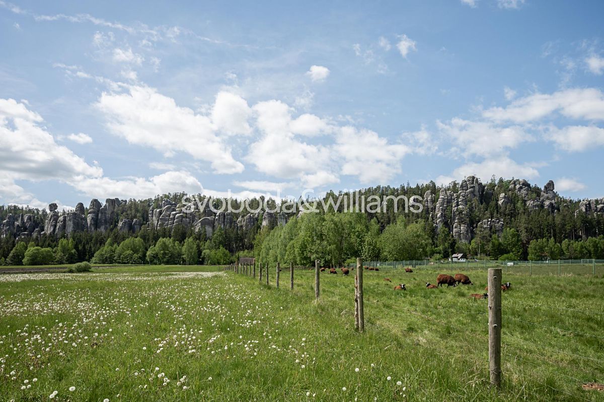 Prodej stavebního pozemku 4405 m² – fotografie 3