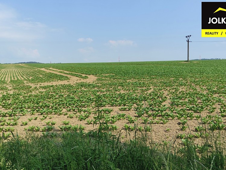 Prodej pozemku, 7 268 m² (7 z 12)