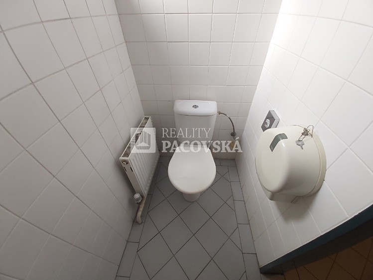 Комерційне приміщення в оренду, 145 м² (15 з 15)