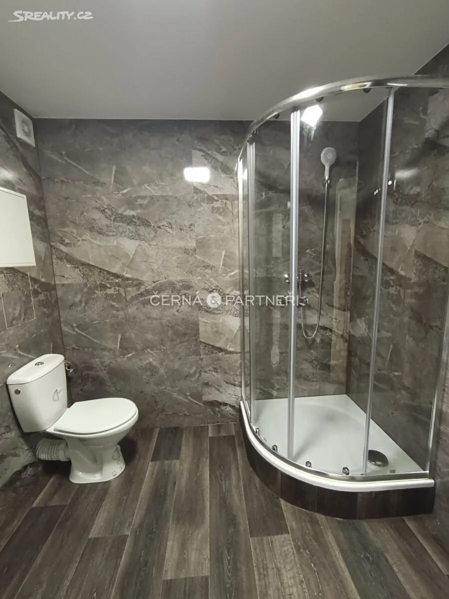 Pronájem bytu 3+1 53 m² – další