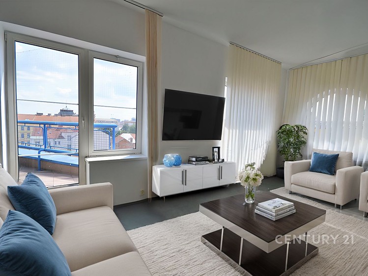 Prodej bytu 6+, 270 m² (1 z 21)