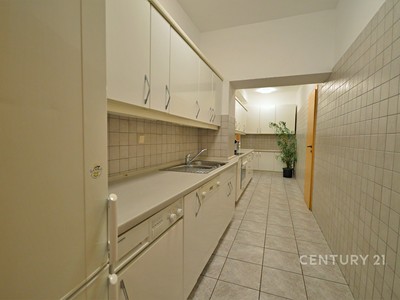 Prodej bytu 6+, 270 m² (3 z 21)